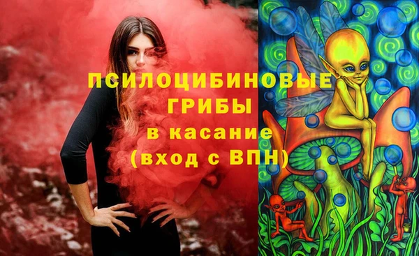 не бодяженный Ладушкин